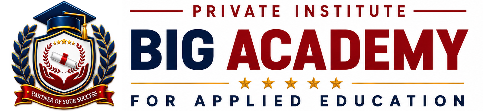 BIG ACADEMY